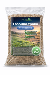 Газонна трава Посухостійка GreenUp 1 кг hazonna-trava-posukhostiika-greenup-1-kh фото