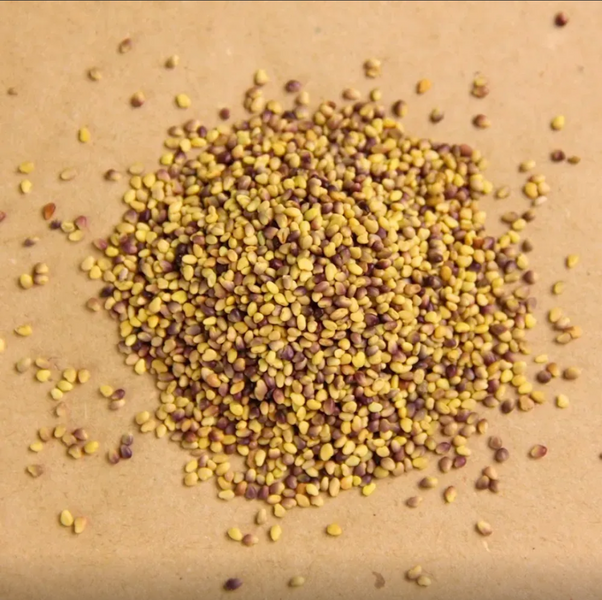 Біла мікроклевер Піполіна Green Up 0.5 кг bila-mikroklever-pipolina-green-up-0.5-kh фото